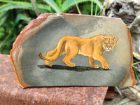 Hand Made Lioness Decoupage Stone Slabs x 3 From Southern Africa