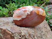 Polished Flower Agate Palm Stones x 12 From Madagascar