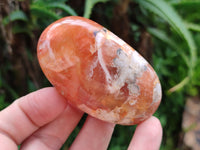 Polished Flower Agate Palm Stones x 12 From Madagascar