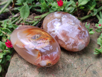 Polished Flower Agate Palm Stones x 12 From Madagascar