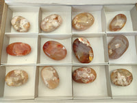 Polished Flower Agate Palm Stones x 12 From Madagascar