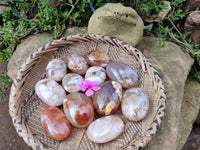 Polished Flower Agate Palm Stones x 12 From Madagascar