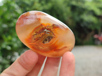 Polished Flower Agate Palm Stones x 12 From Madagascar