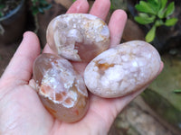 Polished Flower Agate Palm Stones x 12 From Madagascar