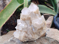 Natural Smokey Phantom Quartz Cluster x 1 From Luena, Congo