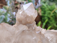 Natural Smokey Phantom Quartz Cluster x 1 From Luena, Congo