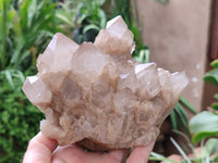 Natural Smokey Phantom Quartz Cluster x 1 From Luena, Congo