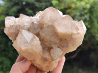 Natural Smokey Phantom Quartz Cluster x 1 From Luena, Congo