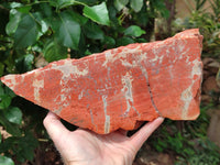 Natural Red Jasper Specimens x 2 From Northern Cape, South Africa