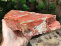 Natural Red Jasper Specimens x 2 From Northern Cape, South Africa