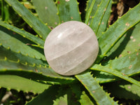 Polished Rose Quartz Palm Stones x 12 From Madagascar