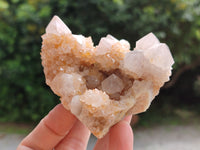 Natural Spirit Quartz Clusters x 6 From Boekenhouthoek, South Africa