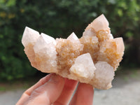 Natural Spirit Quartz Clusters x 6 From Boekenhouthoek, South Africa