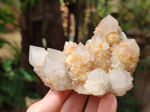 Natural Spirit Quartz Clusters x 6 From Boekenhouthoek, South Africa