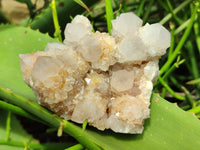 Natural Spirit Quartz Clusters x 6 From Boekenhouthoek, South Africa