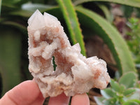 Natural Spirit Quartz Clusters x 6 From Boekenhouthoek, South Africa