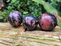 Polished Rhodonite Spheres x 6 From Ambindavato, Madagascar