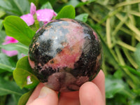 Polished Rhodonite Spheres x 6 From Ambindavato, Madagascar