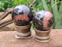 Polished Rhodonite Spheres x 6 From Ambindavato, Madagascar