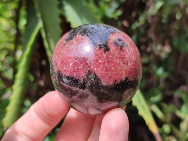 Polished Rhodonite Spheres x 6 From Ambindavato, Madagascar