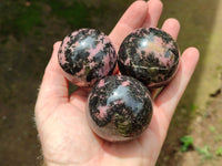 Polished Rhodonite Spheres x 6 From Ambindavato, Madagascar