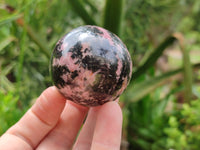 Polished Rhodonite Spheres x 6 From Ambindavato, Madagascar