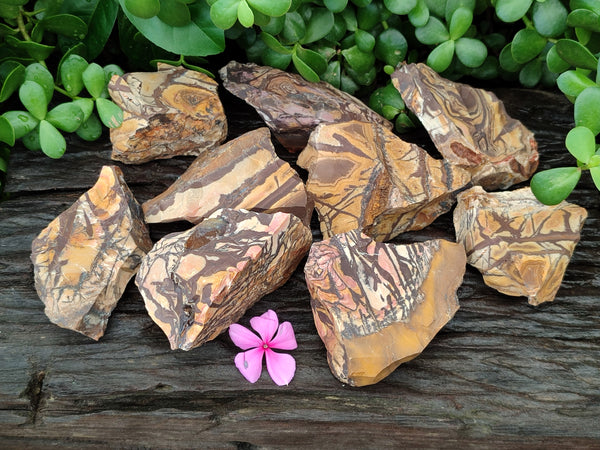 Natural Nguni Jasper Cobbed Specimens x 12 From Prieska, South Africa