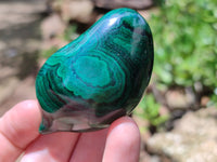 Polished Assorted Malachite Fruit Carvings x 12 From Congo