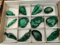 Polished Assorted Malachite Fruit Carvings x 12 From Congo