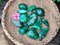 Polished Assorted Malachite Fruit Carvings x 12 From Congo