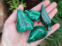 Polished Assorted Malachite Fruit Carvings x 12 From Congo