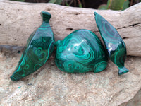 Polished Assorted Malachite Fruit Carvings x 12 From Congo