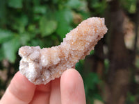 Natural Spirit Quartz Crystals x 49 From Boekenhouthoek, South Africa