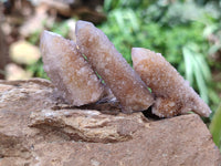 Natural Spirit Quartz Crystals x 49 From Boekenhouthoek, South Africa