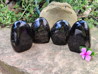 Polished Black Tourmaline Standing Free Forms x 4 From Madagascar