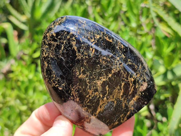 Polished Black Tourmaline Standing Free Forms x 4 From Madagascar