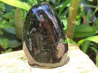 Polished Black Tourmaline Standing Free Forms x 4 From Madagascar