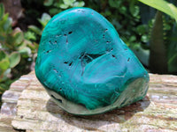 Polished Flower Banded Malachite Free Forms x 2 From Congo