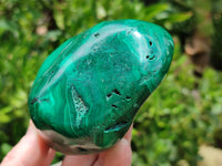 Polished Flower Banded Malachite Free Forms x 2 From Congo