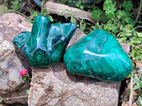 Polished Flower Banded Malachite Free Forms x 2 From Congo