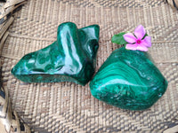 Polished Flower Banded Malachite Free Forms x 2 From Congo