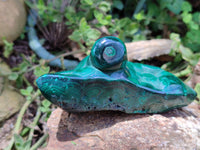 Polished Flower Banded Malachite Free Forms x 2 From Congo