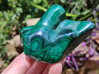 Polished Flower Banded Malachite Free Forms x 2 From Congo