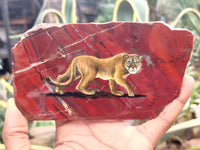 Hand Made Lioness Decoupage Stone Slabs x 3 From Southern Africa