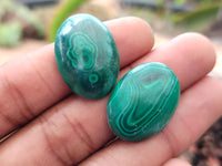 Hand Made Oval Flower Banded Malachite Cabochons - Sold Per Item - From Congo