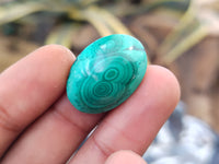 Hand Made Oval Flower Banded Malachite Cabochons - Sold Per Item - From Congo