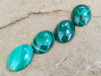 Hand Made Oval Flower Banded Malachite Cabochons - Sold Per Item - From Congo