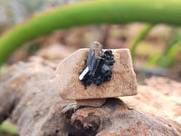 Natural Schorl Black Tourmaline Specimens x 19 From Erongo, Namibia