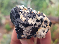 Natural Schorl Black Tourmaline Specimens x 19 From Erongo, Namibia