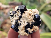 Natural Schorl Black Tourmaline Specimens x 19 From Erongo, Namibia